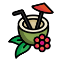 bebida de coco icon