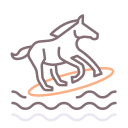 carruagem de cavalos 