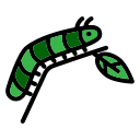 oruga icon