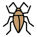 cucaracha icon