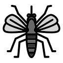 mosquito icon