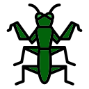 mantis icon