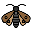 polilla icon