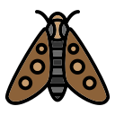 polilla icon