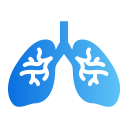 pulmones icon