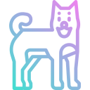 Shiba icon