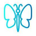 mariposa icon