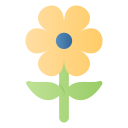 primavera icon