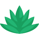 Agave icon