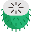 Guanabana icon