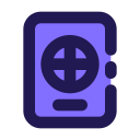 pasaporte icon