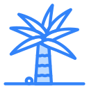 palmera icon