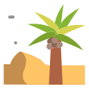 palmera icon