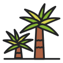 palmera icon