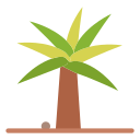 palmera icon