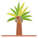 palmera icon