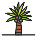 palmera 