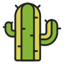 cactus icon