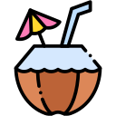 bebida de coco icon