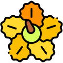 hibisco icon