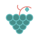 uvas icon