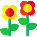 Flores icon