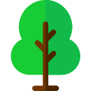 árbol icon