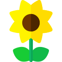 Girasol icon