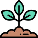 Planta icon