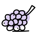 uvas icon