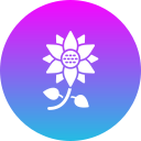 girasol icon