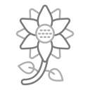 girasol icon