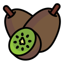 kiwi icon