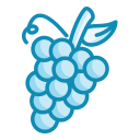 uvas icon