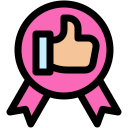 satisfacción icon