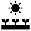 Photosynthesis 