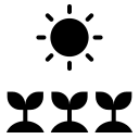 Photosynthesis 