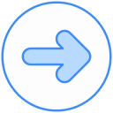 flecha correcta icon