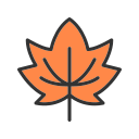 hoja de otoño icon