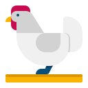 Chicken icon