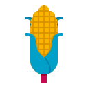 Corn cob icon