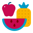 Fruits icon