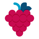 Grapes icon