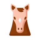 caballo icon