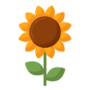 girasol icon