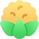 coliflor icon