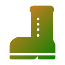 bota icon