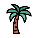 palmera 