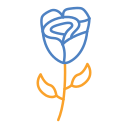 rose 