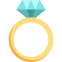 anillo icon